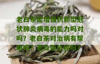 老白茶能增强抗新型冠状肺炎病毒的能力吗对吗？老白茶对治病有帮助吗？老白茶抗癌吗？