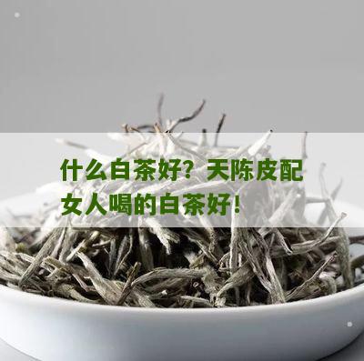 什么白茶好？天陈皮配女人喝的白茶好！