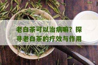 老白茶可以治病嘛？探寻老白茶的疗效与作用