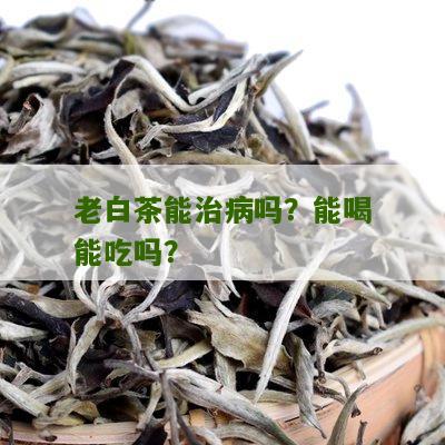 老白茶能治病吗？能喝能吃吗？