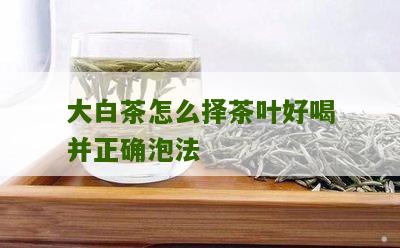 大白茶怎么择茶叶好喝并正确泡法