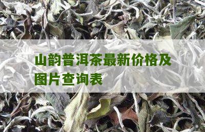 山韵普洱茶最新价格及图片查询表