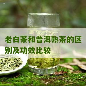 老白茶和普洱熟茶的区别及功效比较