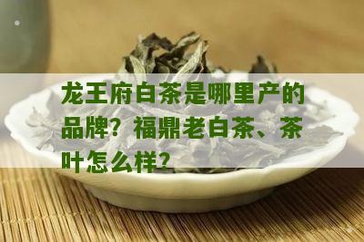 龙王府白茶是哪里产的品牌？福鼎老白茶、茶叶怎么样？