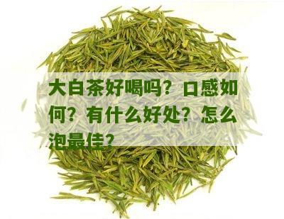 大白茶好喝吗？口感如何？有什么好处？怎么泡最佳？