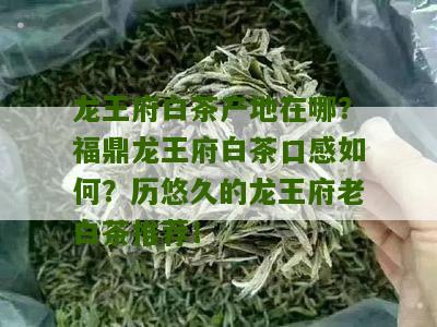 龙王府白茶产地在哪？福鼎龙王府白茶口感如何？历悠久的龙王府老白茶推荐！