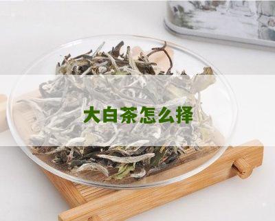 大白茶怎么择