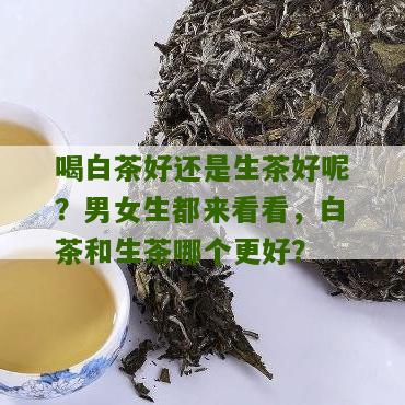 喝白茶好还是生茶好呢？男女生都来看看，白茶和生茶哪个更好？