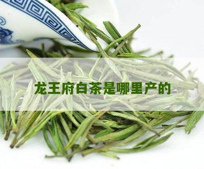 龙王府白茶是哪里产的