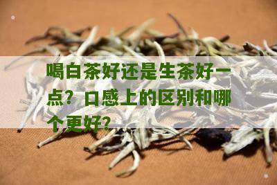 喝白茶好还是生茶好一点？口感上的区别和哪个更好？