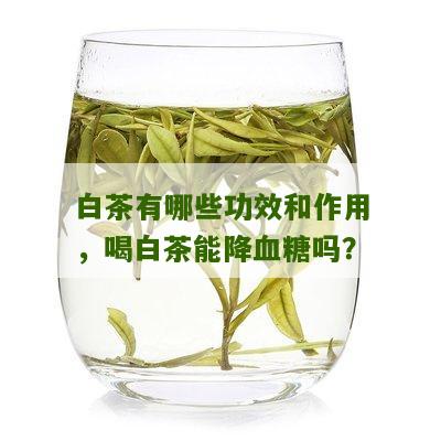 白茶有哪些功效和作用，喝白茶能降血糖吗？