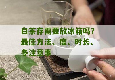 白茶存需要放冰箱吗？最佳方法、度、时长、冬注意事