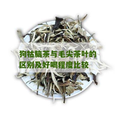 狗牯脑茶与毛尖茶叶的区别及好喝程度比较