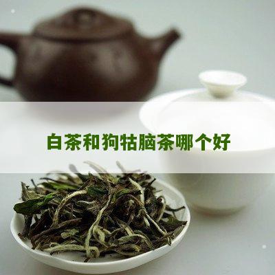 白茶和狗牯脑茶哪个好