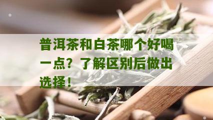 普洱茶和白茶哪个好喝一点？了解区别后做出选择！