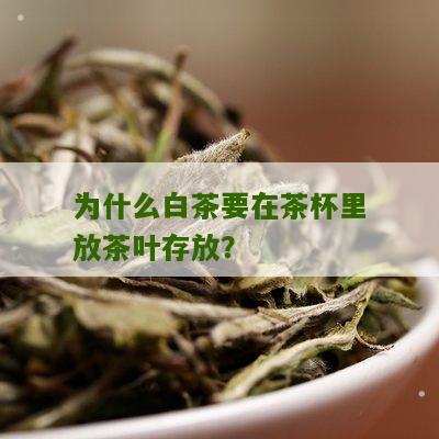 为什么白茶要在茶杯里放茶叶存放？