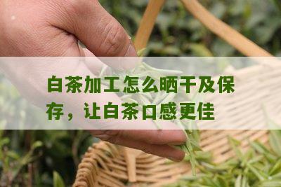 白茶加工怎么晒干及保存，让白茶口感更佳