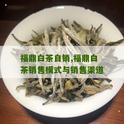 福鼎白茶自销,福鼎白茶销售模式与销售渠道