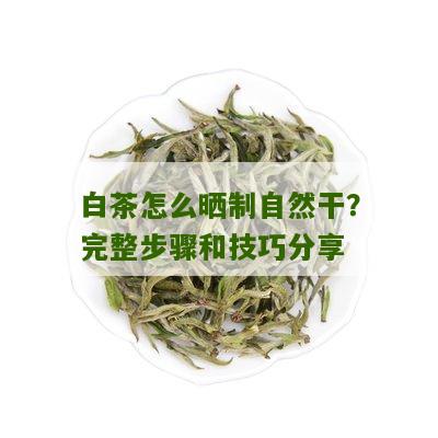 白茶怎么晒制自然干？完整步骤和技巧分享