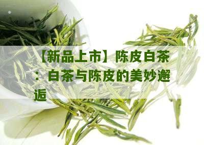 【新品上市】陈皮白茶：白茶与陈皮的美妙邂逅