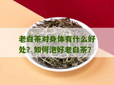 老白茶对身体有什么好处？如何泡好老白茶？