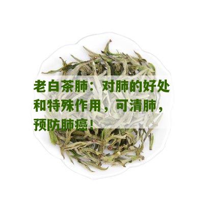 老白茶肺：对肺的好处和特殊作用，可清肺，预防肺癌！