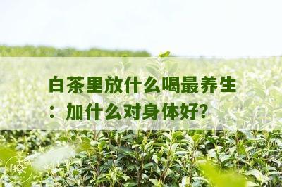 白茶里放什么喝最养生：加什么对身体好？