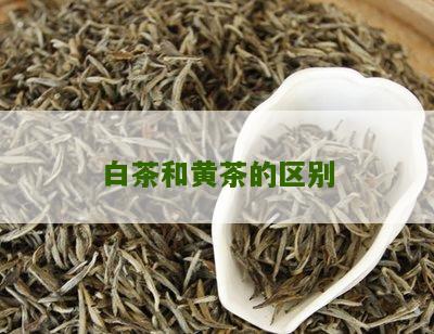 白茶和黄茶的区别