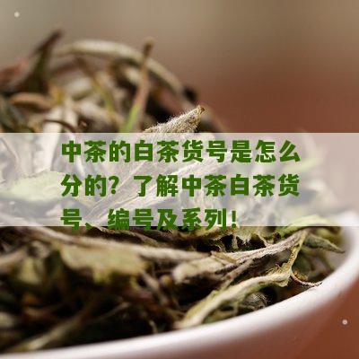 中茶的白茶货号是怎么分的？了解中茶白茶货号、编号及系列！