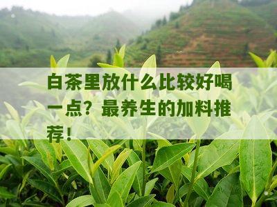 白茶里放什么比较好喝一点？最养生的加料推荐！