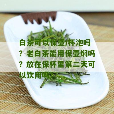 白茶可以保壶/杯泡吗？老白茶能用保壶焖吗？放在保杯里第二天可以饮用吗？