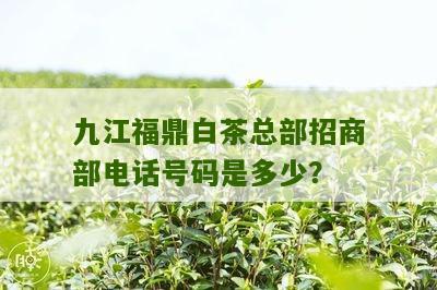 九江福鼎白茶总部招商部电话号码是多少？