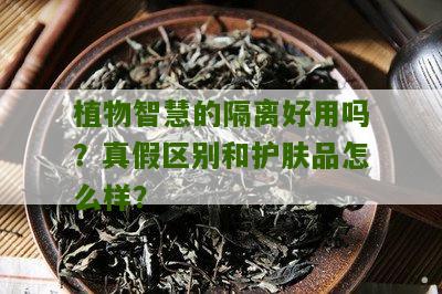 植物智慧的隔离好用吗？真假区别和护肤品怎么样？