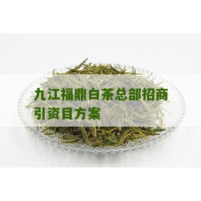 九江福鼎白茶总部招商引资目方案