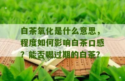 白茶氧化是什么意思，程度如何影响白茶口感？能否喝过期的白茶？