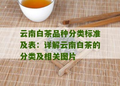 云南白茶品种分类标准及表：详解云南白茶的分类及相关图片