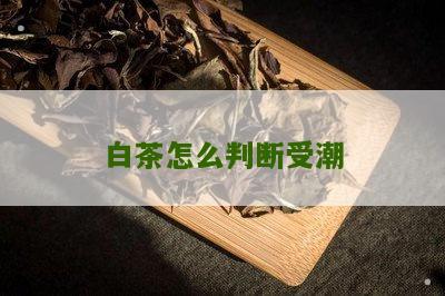 白茶怎么判断受潮