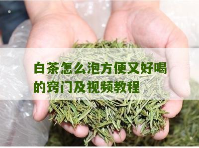 白茶怎么泡方便又好喝的窍门及视频教程