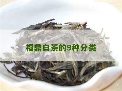 福鼎白茶的9种分类