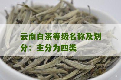 云南白茶等级名称及划分：主分为四类