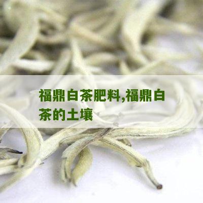 福鼎白茶肥料,福鼎白茶的土壤