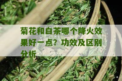 菊花和白茶哪个降火效果好一点？功效及区别分析