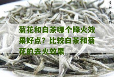 菊花和白茶哪个降火效果好点？比较白茶和菊花的去火效果