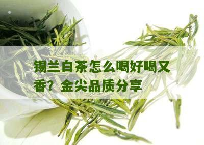 锡兰白茶怎么喝好喝又香？金尖品质分享