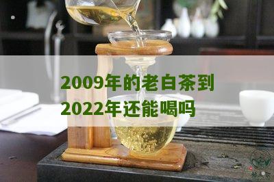 2009年的老白茶到2022年还能喝吗