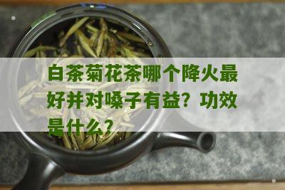 白茶菊花茶哪个降火最好并对嗓子有益？功效是什么？