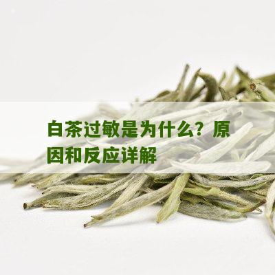 白茶过敏是为什么？原因和反应详解