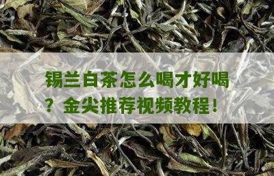 锡兰白茶怎么喝才好喝？金尖推荐视频教程！