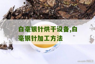 白毫银针烘干设备,白毫银针加工方法