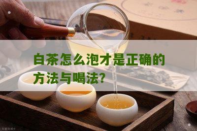 白茶怎么泡才是正确的方法与喝法？